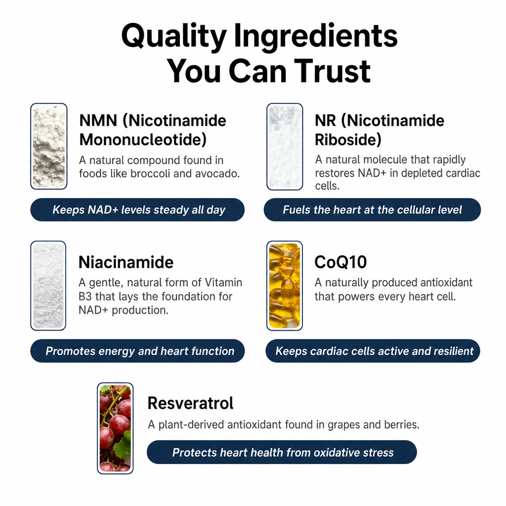 More years & Stronger heart with PetCare™ NAD+