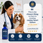 More years & Stronger heart with PetCare™ NAD+