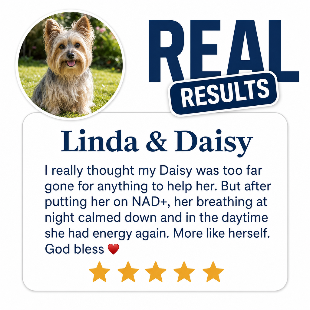 More years & Stronger heart with PetCare™ NAD+