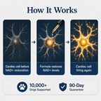 More years & Stronger heart with PetCare™ NAD+