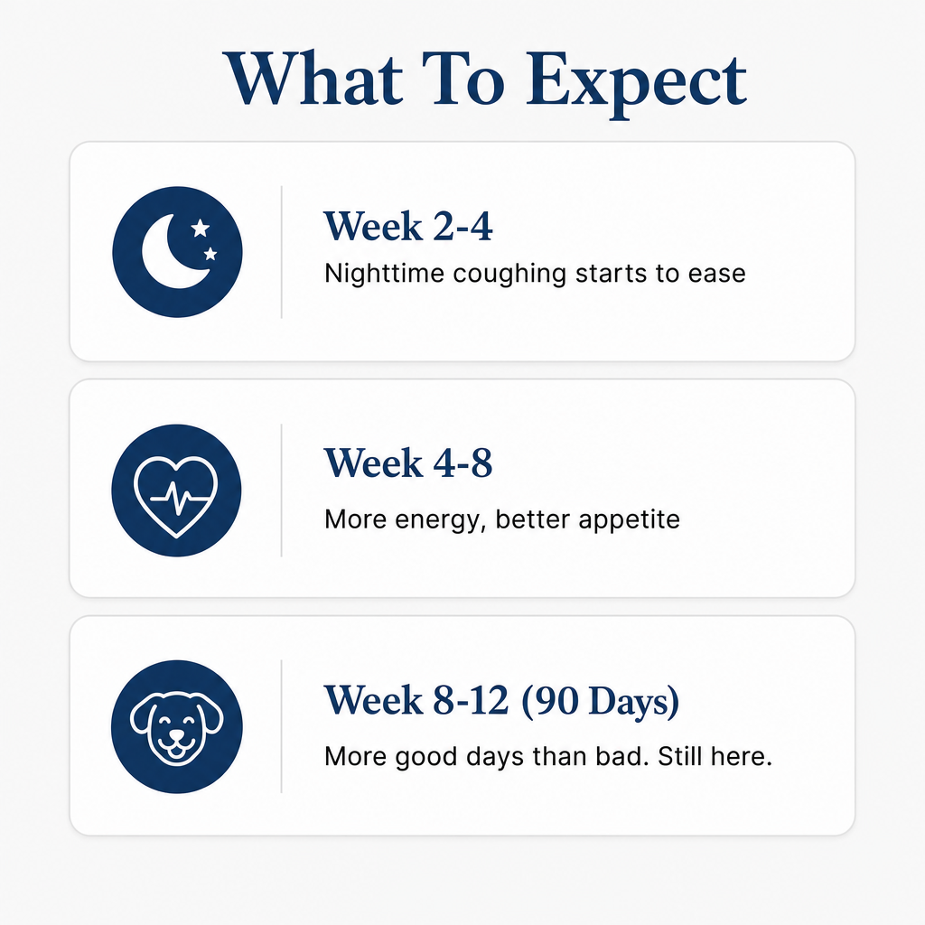 More years & Stronger heart with PetCare™ NAD+