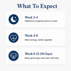More years & Stronger heart with PetCare™ NAD+