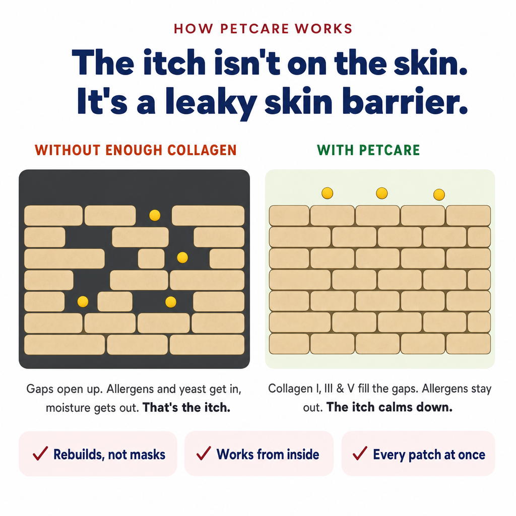 Calmer Skin & Less Scratching with PetCare™ Premium Collagen