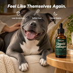 Calmer Skin & Less Scratching with PetCare™ Premium Collagen